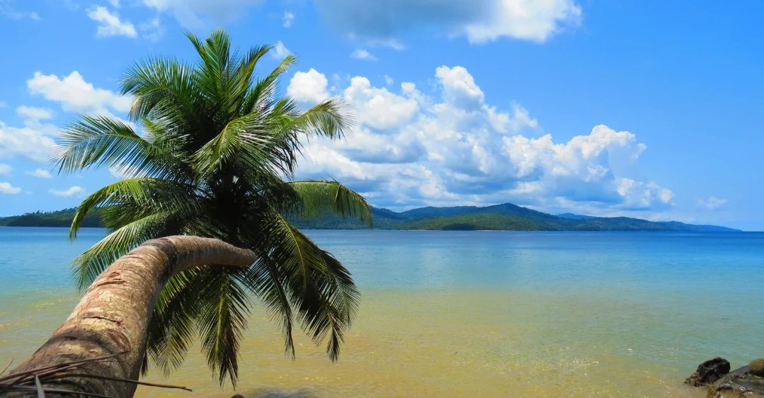 Roamcrafts - DMC Andaman Island Duo